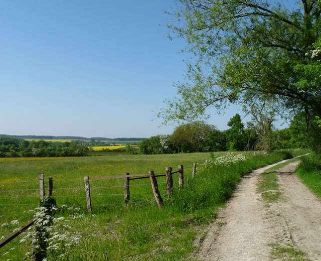  caminamarras educativas